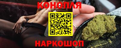 дмт Новодвинск