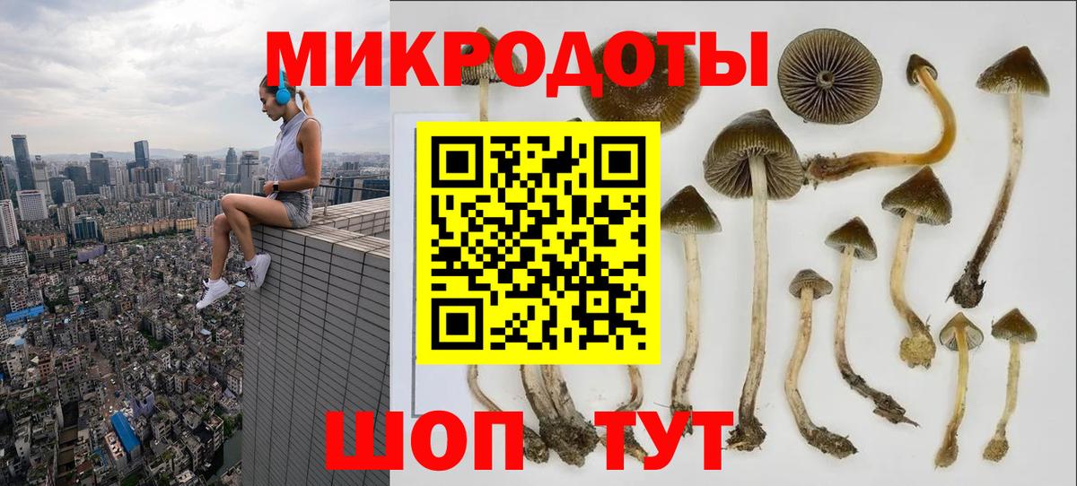 Галлюциногенные грибы мухоморы  Вход с VPN  Тавда 